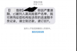 宜丰要债公司